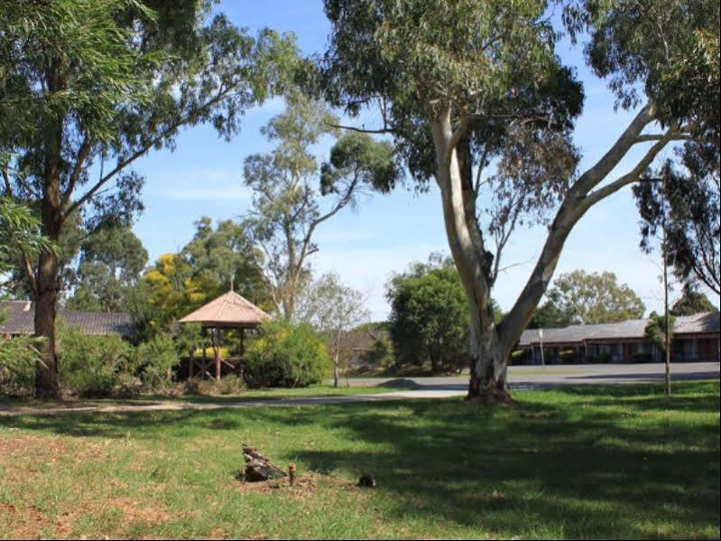 Melaleuca Lodge Beaconsfield Exterior foto